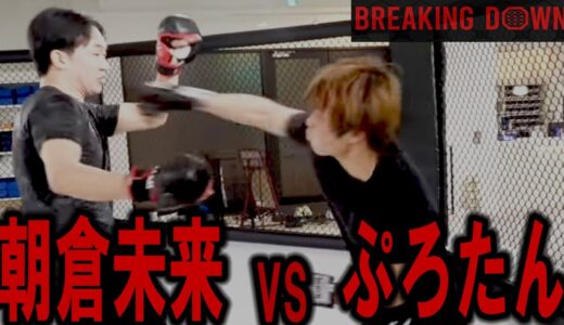 【ブレイキングダウン】朝倉未来VSぷろたん　大型YouTuber同士の殴り合いで衝撃の展開！【ぷろたん切り抜き】